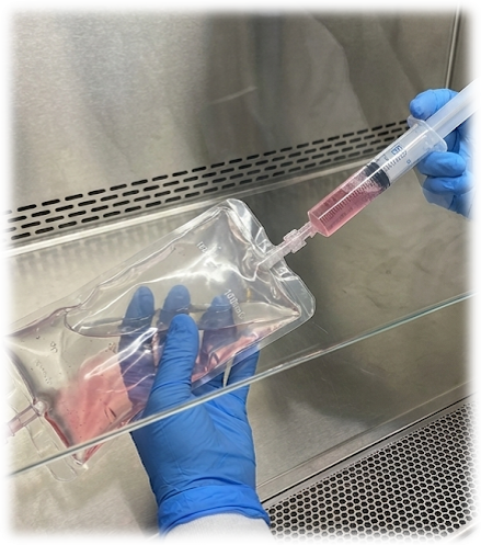Cell Seeding