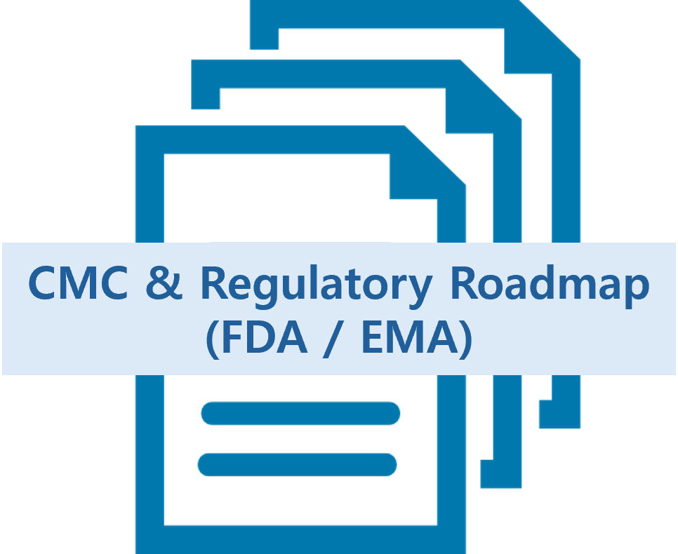 CMC & Regulatory Roadmap